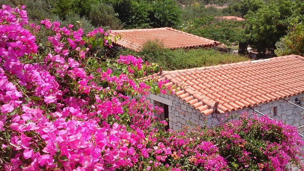 Sophia Mina Green Villa Εξωτερικό φωτογραφία