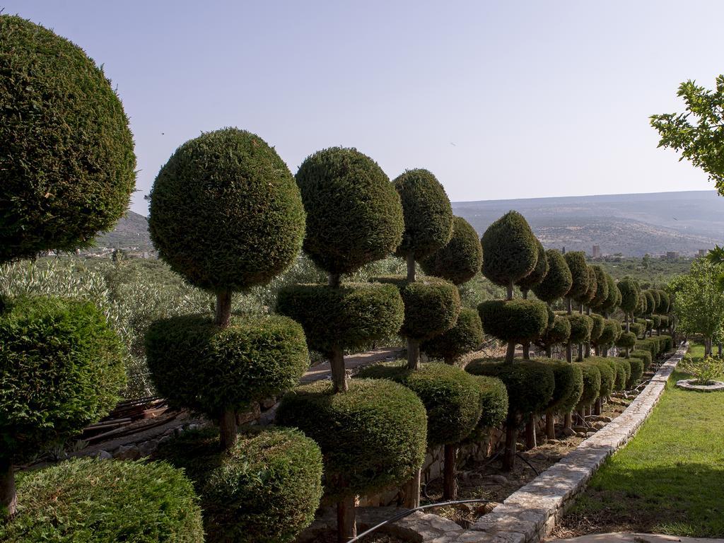 Sophia Mina Green Villa Εξωτερικό φωτογραφία